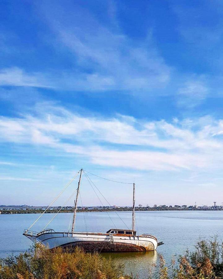 Studio 237 Port Camargue, Piscine, Climatisation, 2 Personnes لو غراو دو روا المظهر الخارجي الصورة